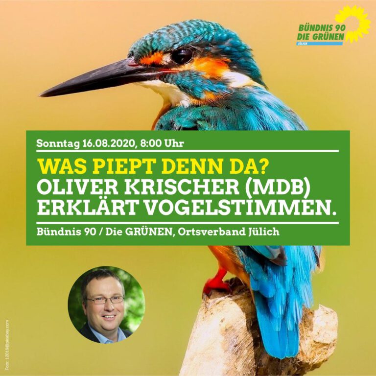 Grüne laden zur Vogelstimmenexkursion am Rurdamm in Jülich ein